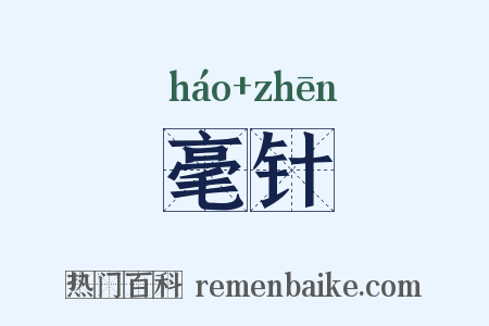 毫针是什么意思的图片